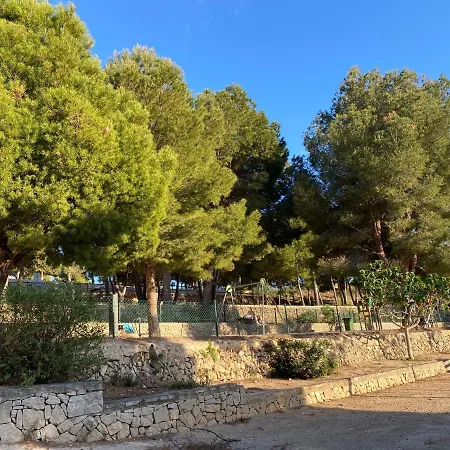 With Solarium/terrace. *