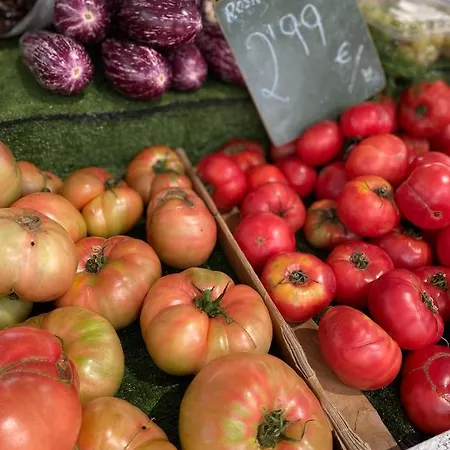 Apartament With Solarium/terrace. *