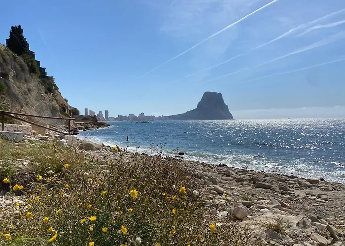 Appartement With Solarium/terrace.