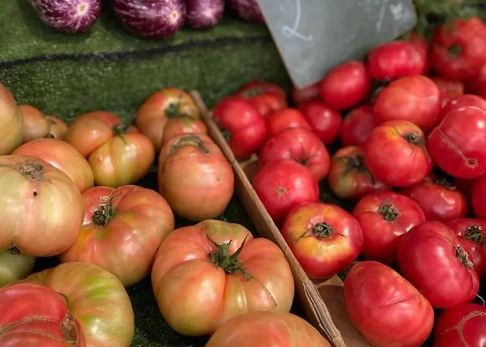 Lejlighed With Solarium/terrace. *